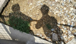 test3