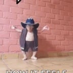 -Ôi cái đ-t con m-- #memes#funny