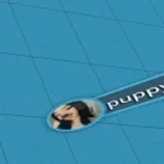 Recording 03/17/26 12:49:02