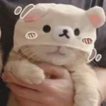 Price Tag Jessie J (Lyrics) (copy)