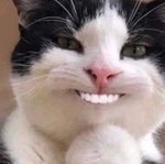 J’arrive gros cons - Sound