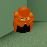 did u know that cashews come from a fruit