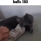 u gotta get that munyun or u dunyun