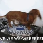 fatal "sushi è la mia mommy"