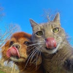 MARKO GLASS IAR O FAC