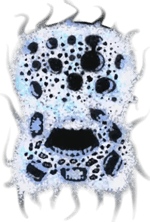 Ethereal Wubbox Sound Best Part