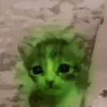 meeko nous fait pleurer