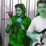 Animal Company Forest