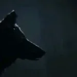 low honor sound effect - D4RKVd5