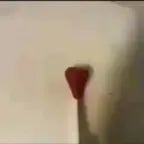 titavermella - Sound