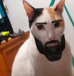 xp cosplaying  as shane dawson