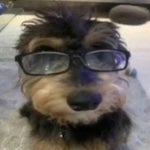 i like the way you kiss me - artemas