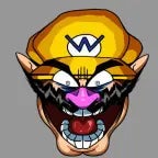 Wario Fun