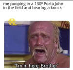 Joe Rogan and Miley Cyrus Meme