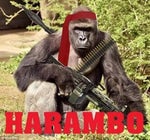 I'm in Love (Ferry Corsten & Robert Smit Remix) (64 kbps)