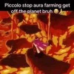 Piccolo Aura Farmm