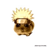 Street zone on my feet