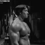 Simple Jack (Arnold) "flabby boobies"