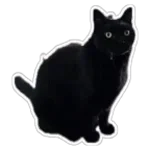 dark age funk (copy)