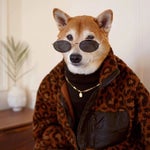 iann dior Let You Lyrics