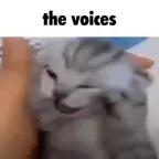 voices in  my head go