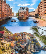 Flowers are growning in antartica.