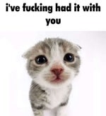 WARNING Nuke Music may damage your eardrums, and hurt your soul