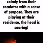 the architect and the builder