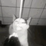 laptecondensat