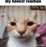 L scream didnt break the 4th wall - Sound