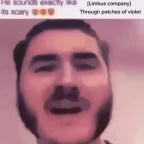 through patches of schlatt