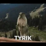 tyrik