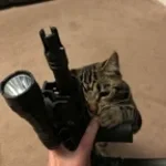 distant rifle x1 (beef pack)