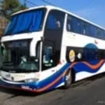 The Wheels on the Bus (copy)