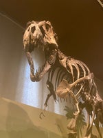 Thegiornalisti Riccione