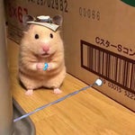 you gave the wrong corpse in the wrong neighborhood