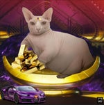 Holy sh ! This hot garbage! But I can't stop listening Sound Ef - Sound