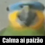 Calma ai paizao