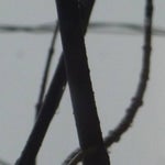 Break Is Over with Voicemod Text to Song