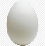 egg.