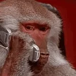 thank-you-for-holding-your-call-is-being-tran