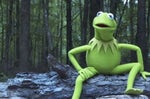 Kermit domain expansion