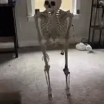 Ancient skeleton unofficial assets