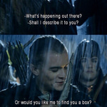 Lord of the rings - Legolas - Shall I describe it to you