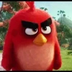 Have you ever stolen anyones children... Angry birds meme