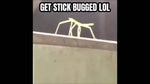 Get Stick Bugged lol