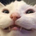 MIO MAO LA LA LA LA LA