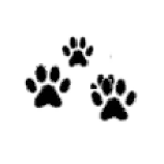 Newjeans x brunomars ETA