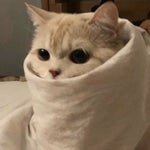 NEW MAGIC WAND Except It's Fortnite