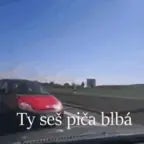 Ty seš piča blbá